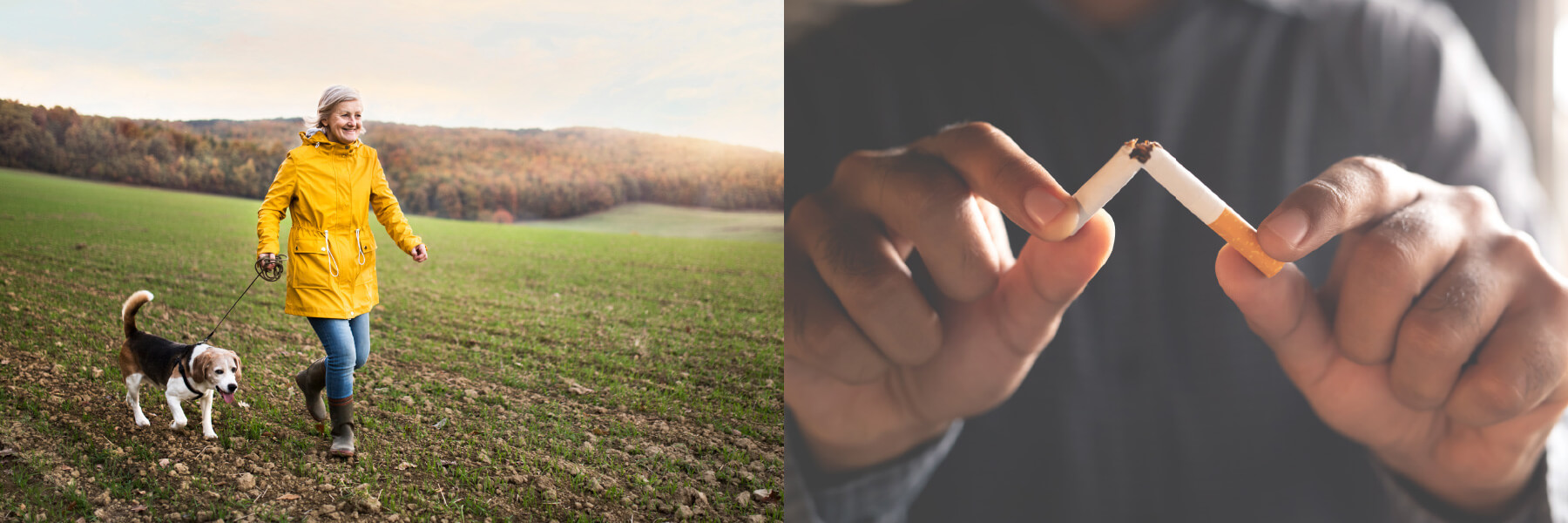 Cu ce trebuie combinată dieta?